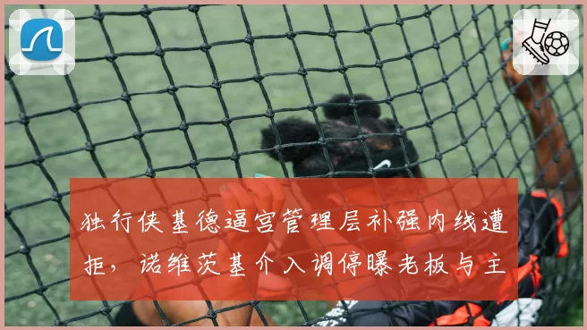 独行侠基德逼宫管理层补强内线遭拒，诺维茨基介入调停曝老板与主帅信任危机__br_